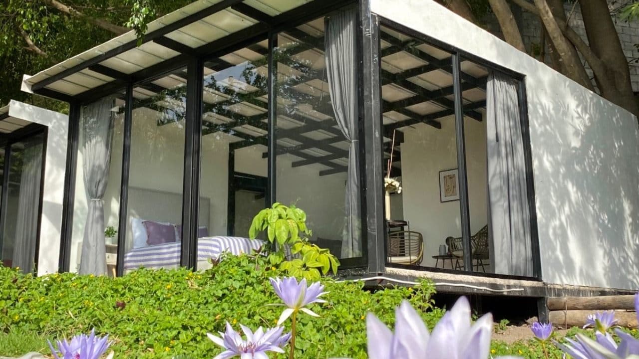 Fachada de cristal de la habitación entre la vegetación y los nenúfares en flor